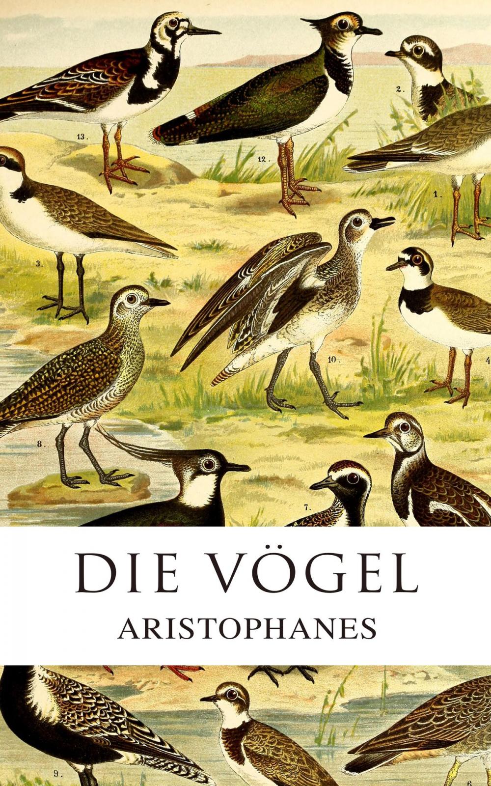 Big bigCover of Die Vögel