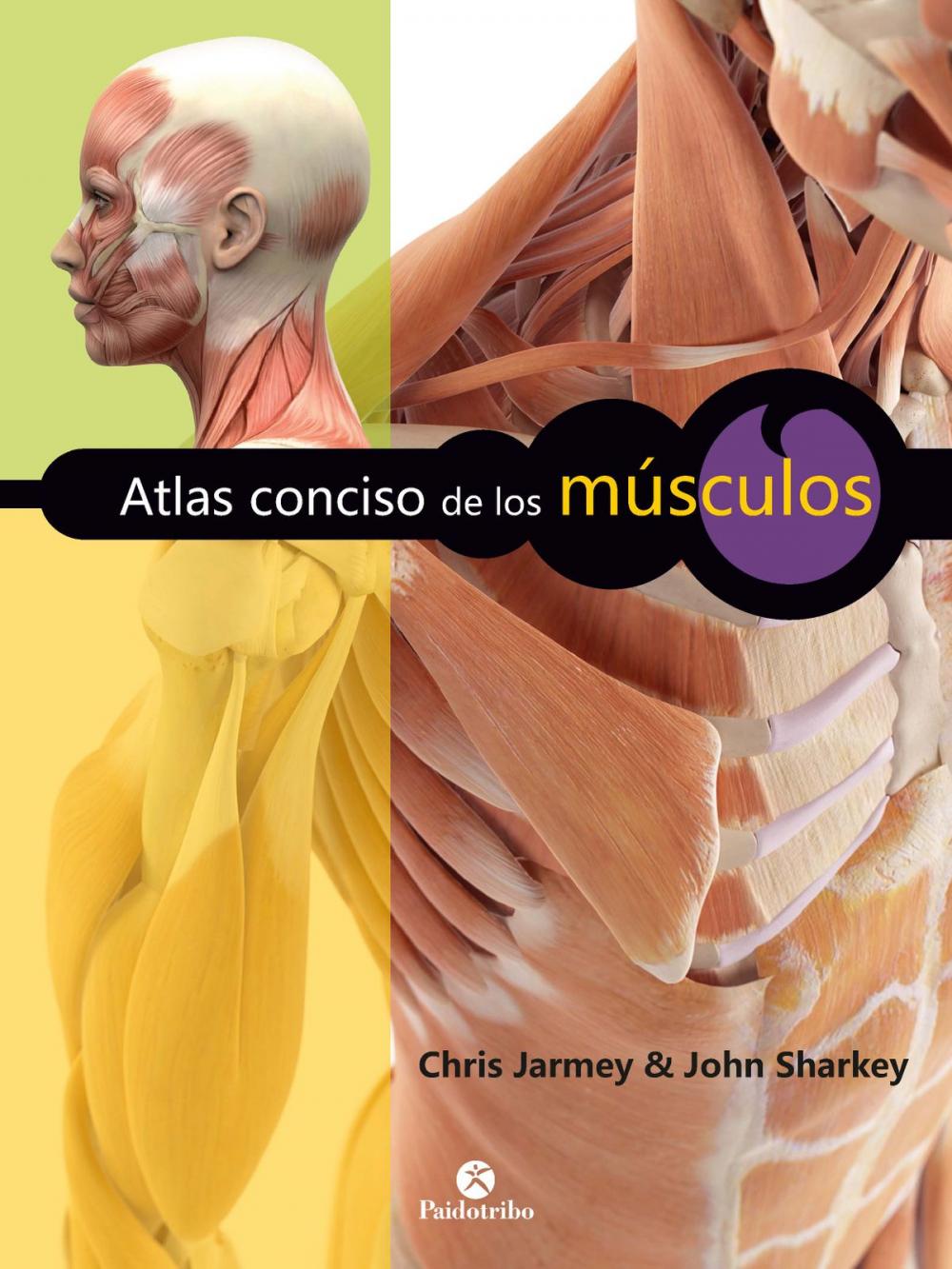 Big bigCover of Atlas conciso de los músculos