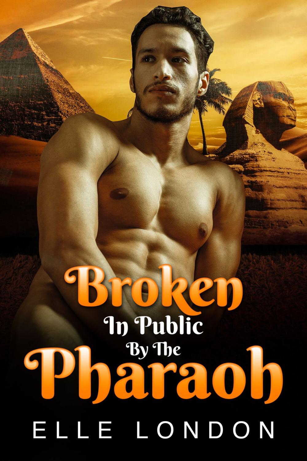 Big bigCover of Broken In Public By The Pharaoh