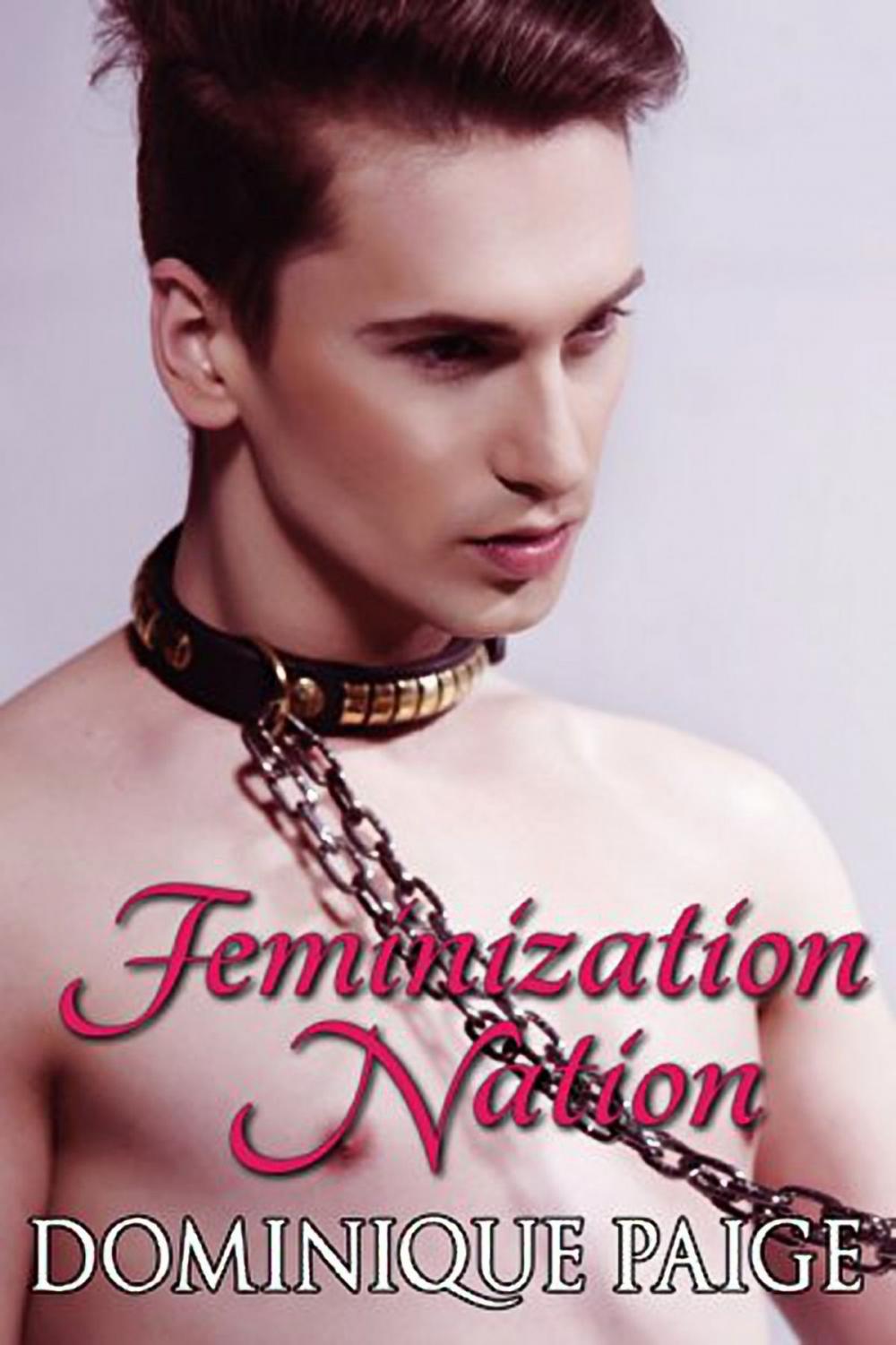 Big bigCover of Feminization Nation