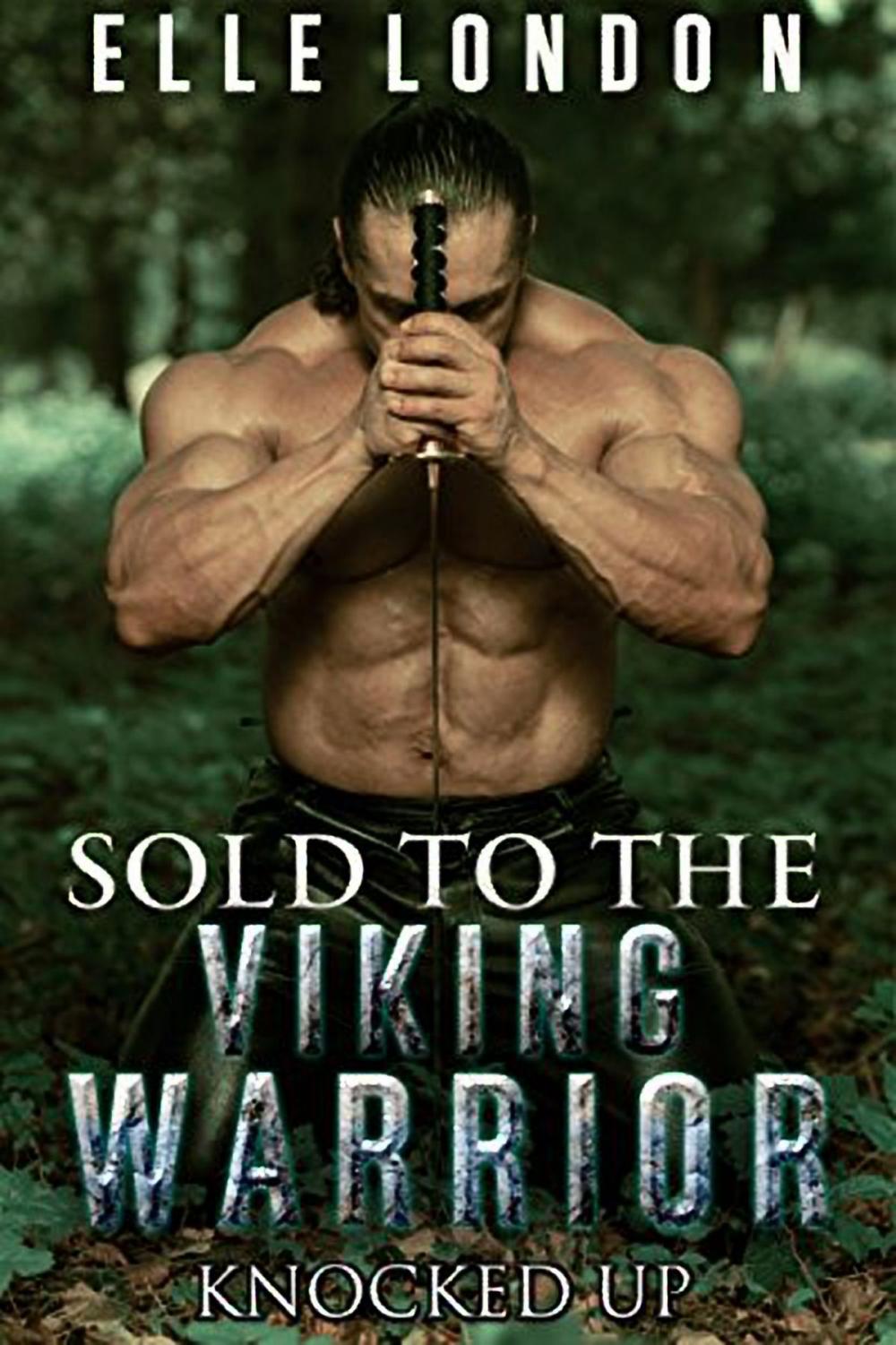 Big bigCover of Sold To The Viking Warrior