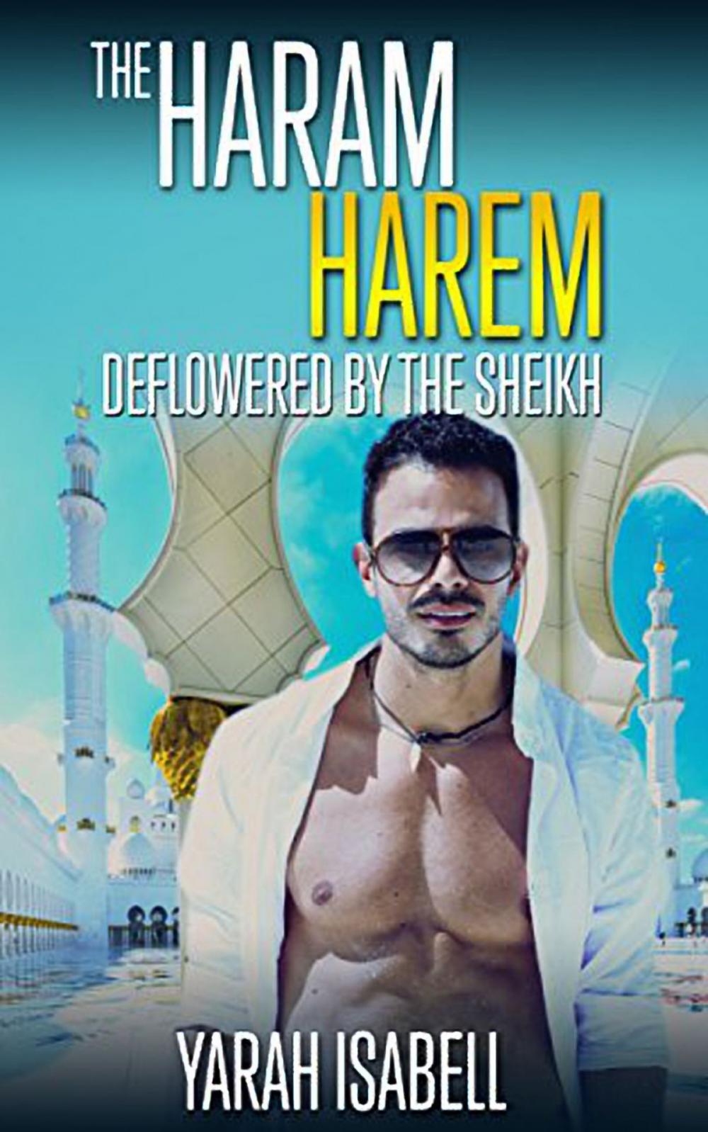 Big bigCover of The Haram Harem