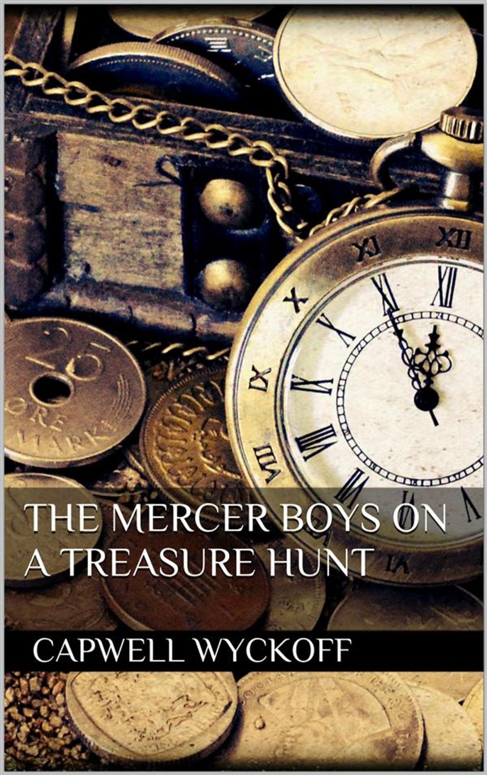 Big bigCover of The Mercer Boys on a Treasure Hunt