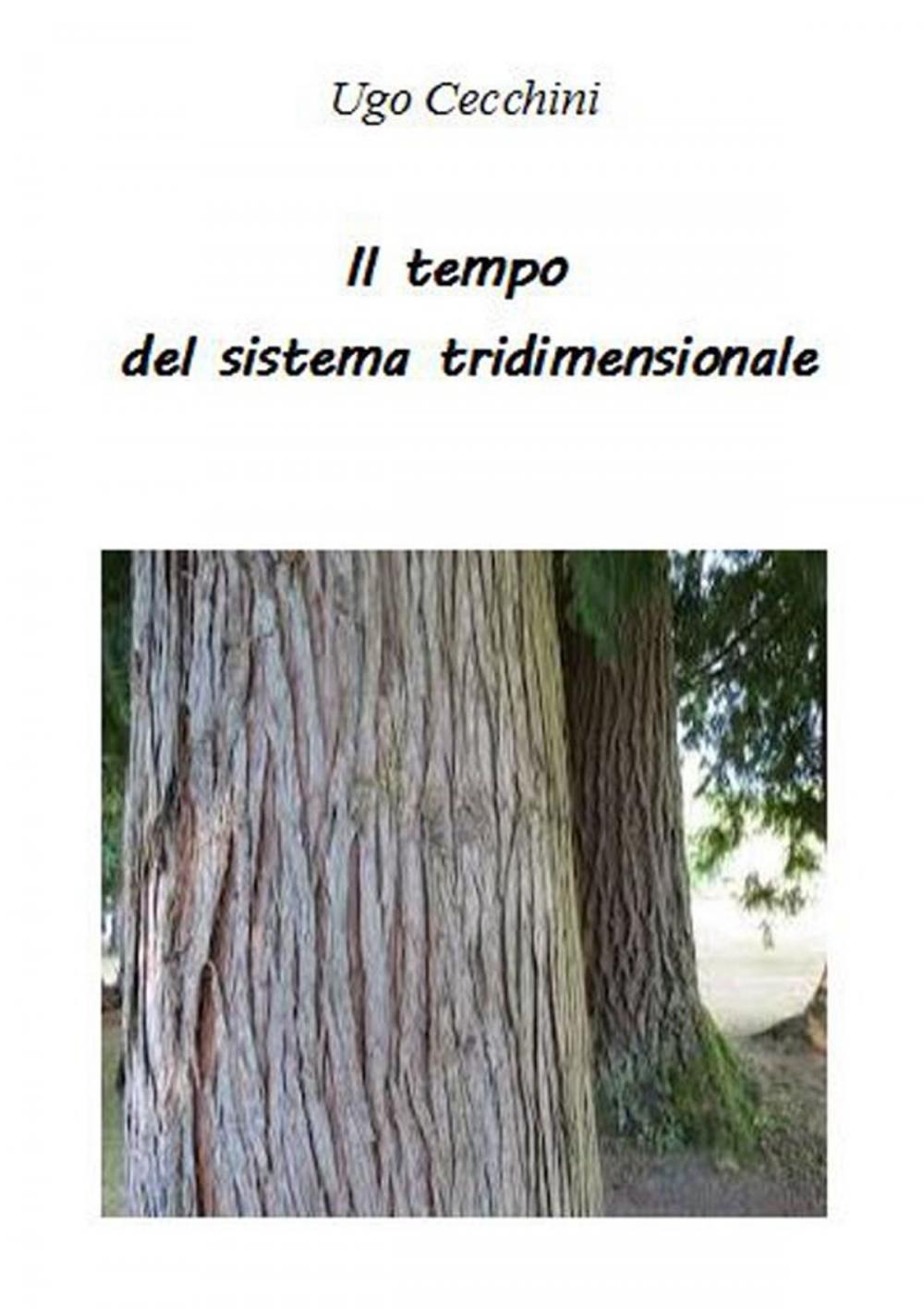 Big bigCover of Il tempo del sistema tridimensionale