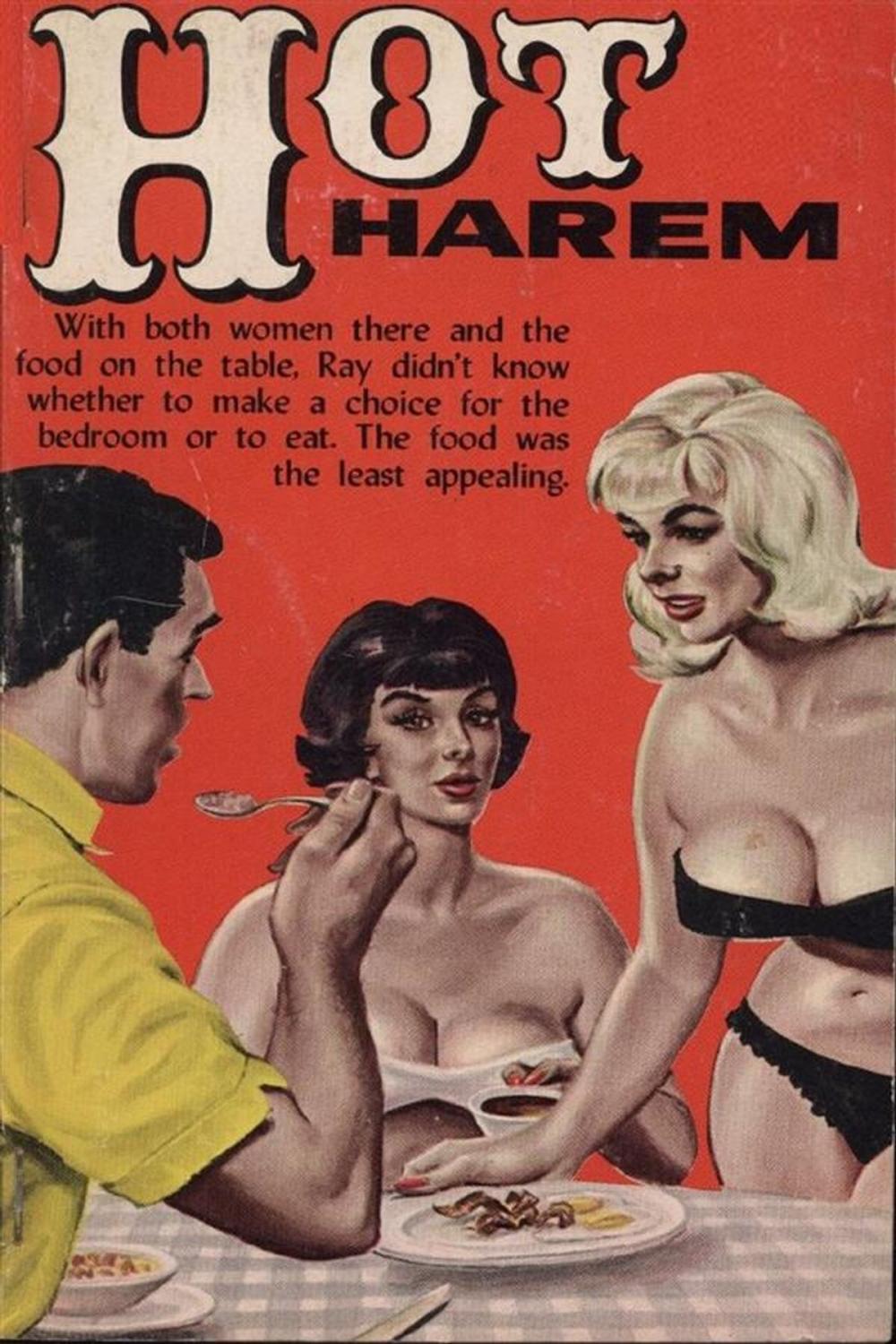 Big bigCover of Hot Harem - Erotic Novel