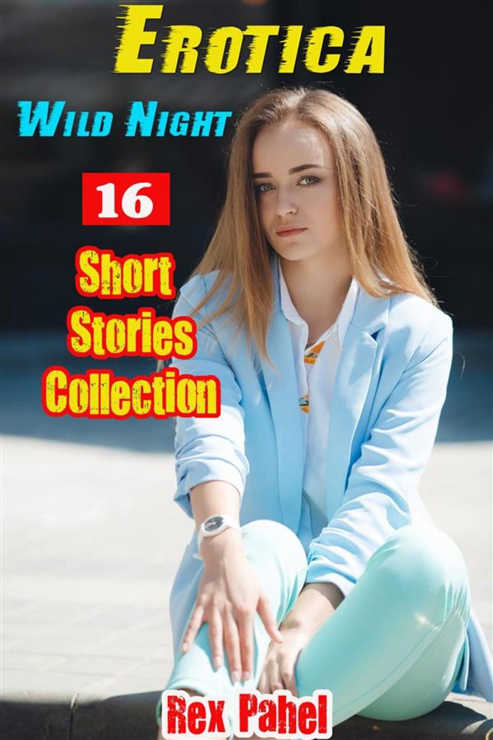 Big bigCover of Erotica: Wild Night: 16 Short Stories Collection