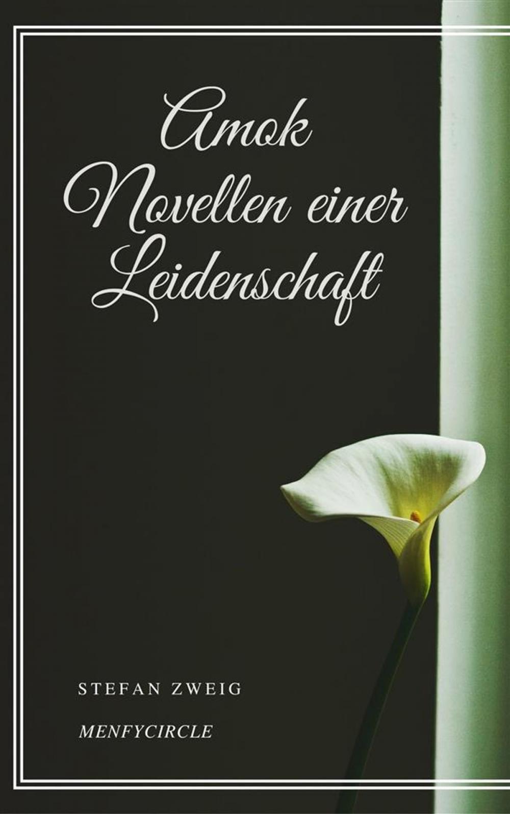 Big bigCover of Amok Novellen einer Leidenschaft