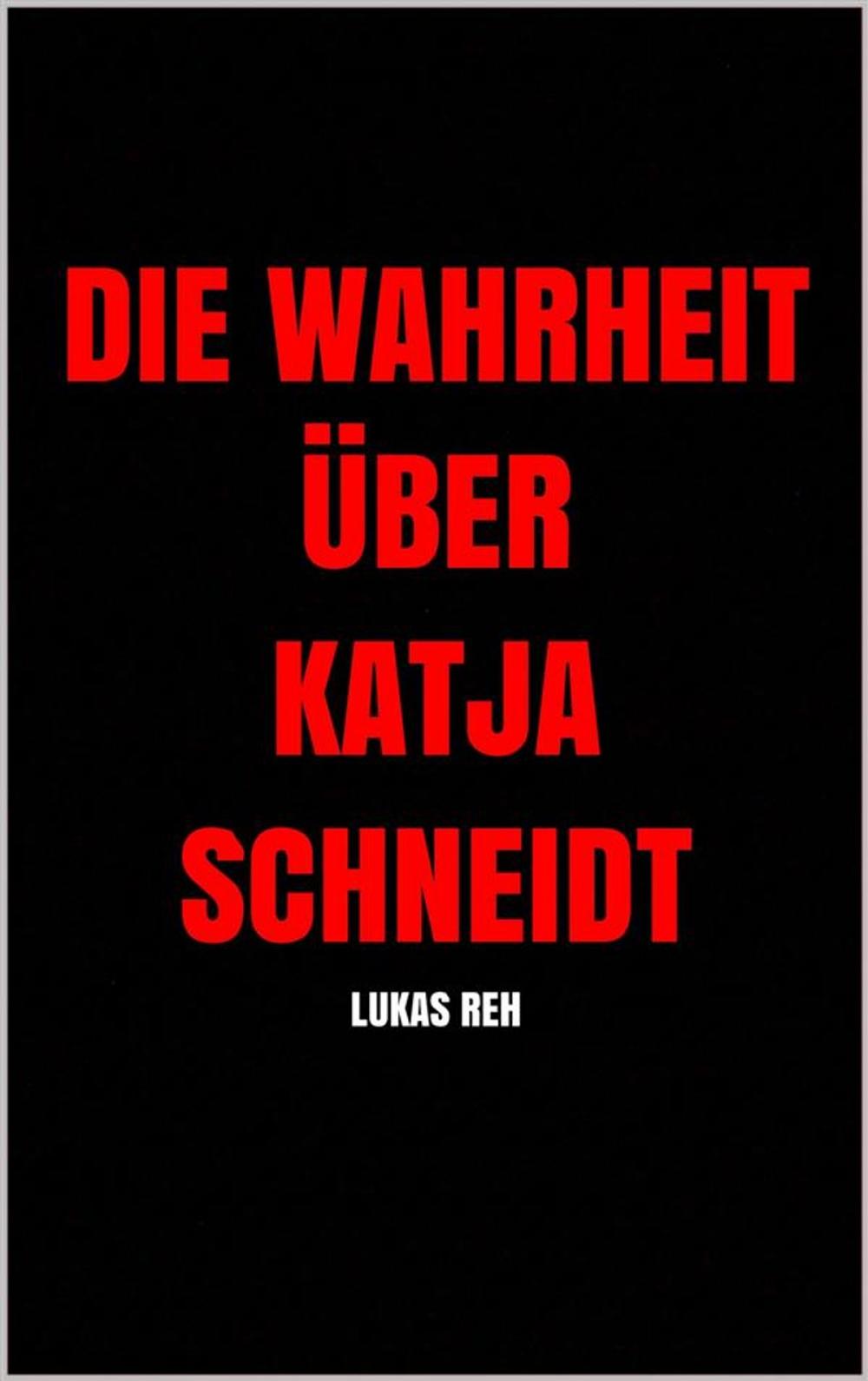 Big bigCover of Die Wahrheit über Katja Schneidt