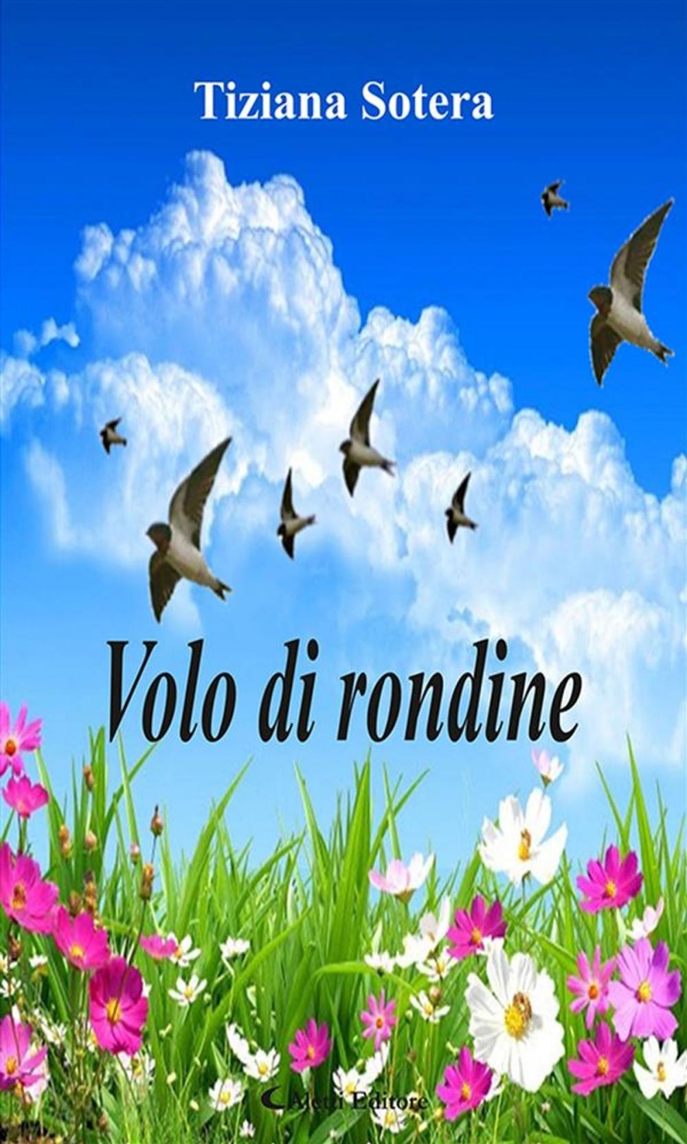 Big bigCover of Volo di rondine