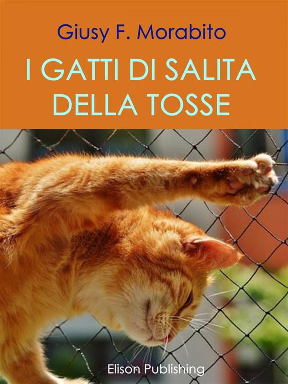 Big bigCover of I gatti di salita della tosse