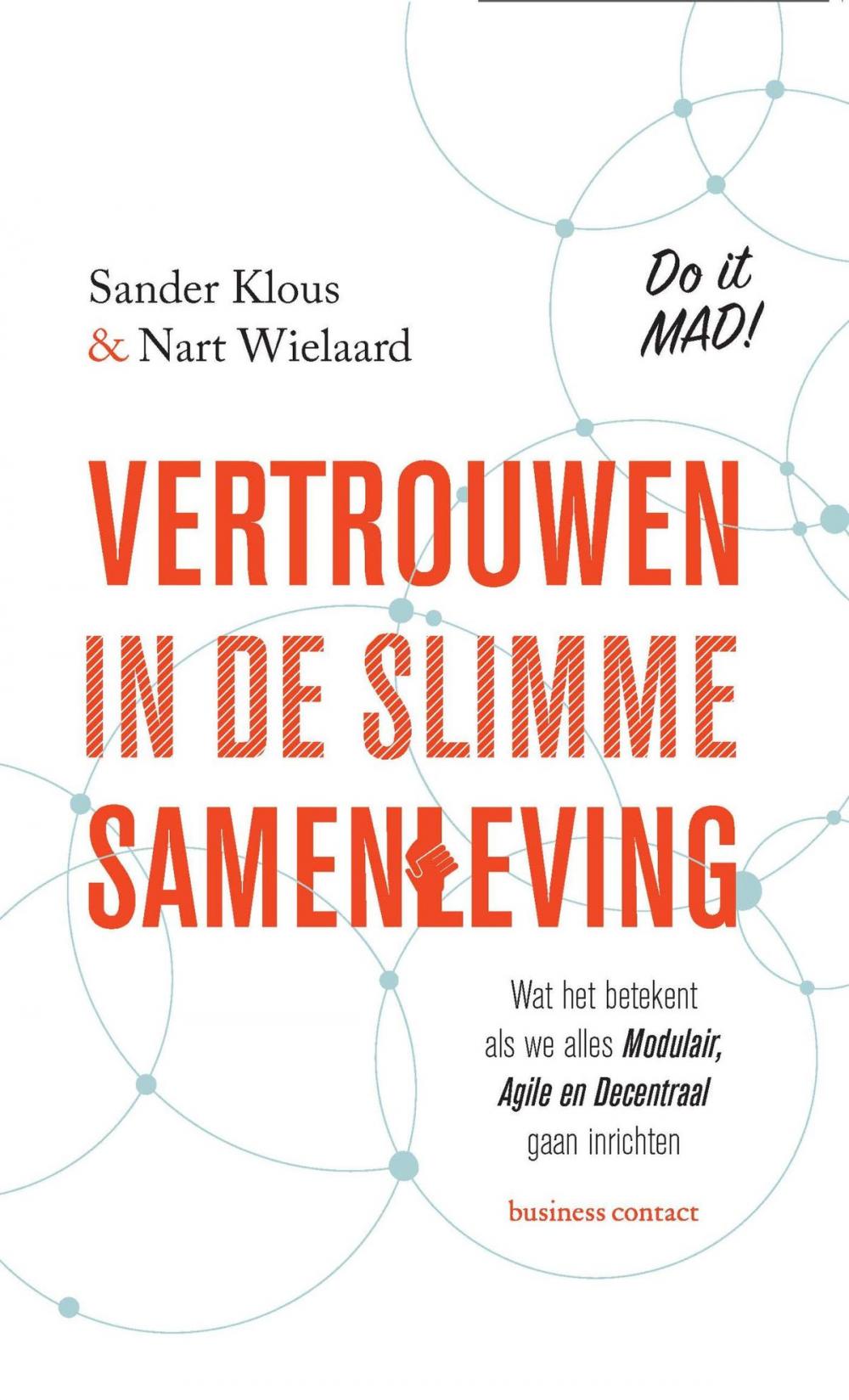 Big bigCover of Vertrouwen in de slimme samenleving