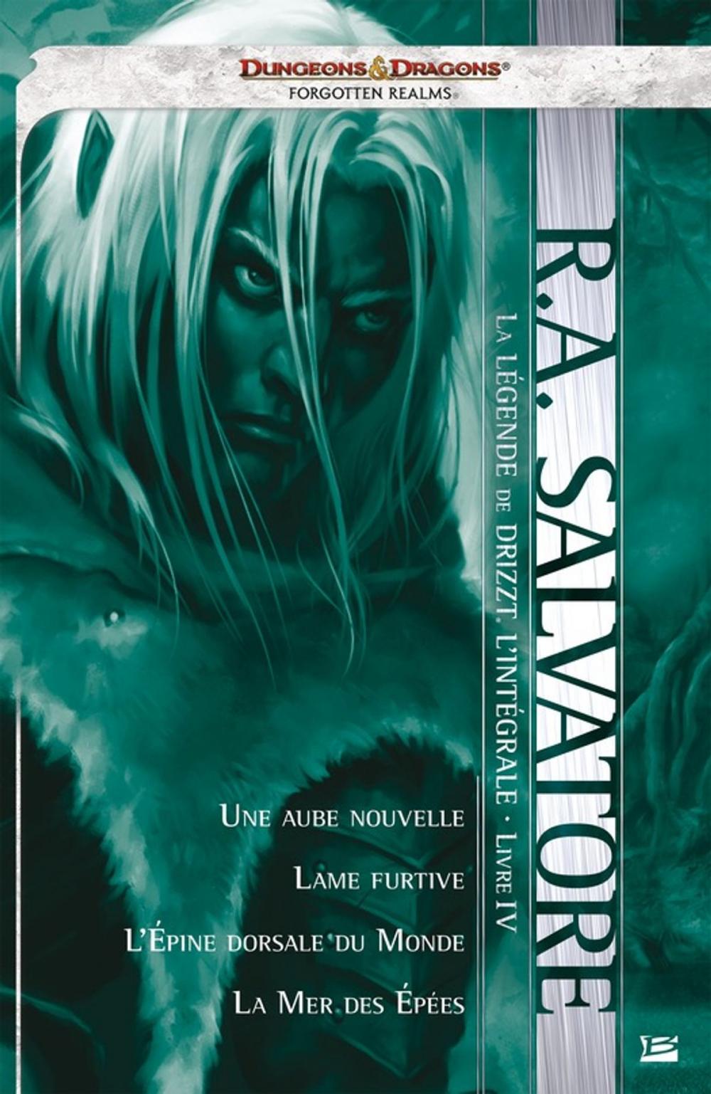 Big bigCover of La Légende de Drizzt - L'Intégrale : Livre IV