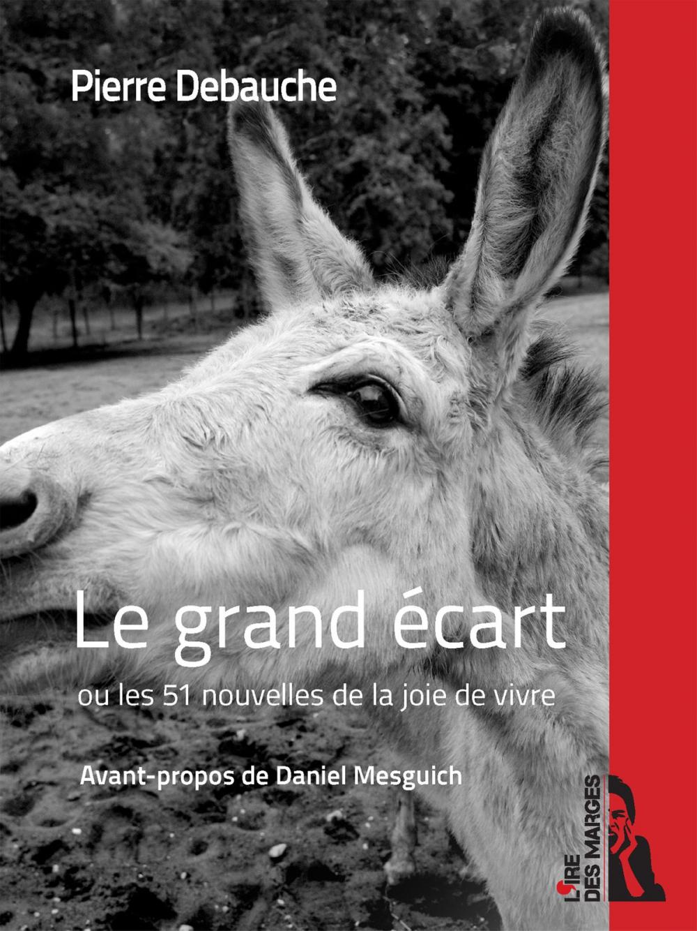 Big bigCover of Le grand écart