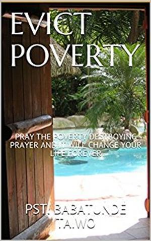Cover of the book EVICT POVERTY by Vincent Rocha