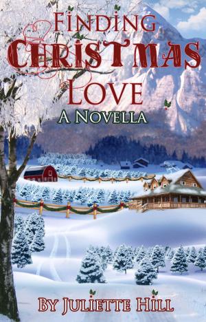 Cover of the book Finding Christmas Love by Mikel J. Wilson