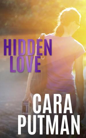Cover of the book Hidden Love by Kerry Nietz