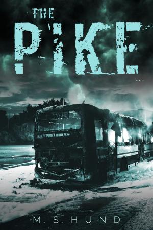 Cover of the book The Pike by Chris Lundy