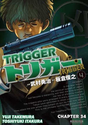 Book cover of TRIGGER