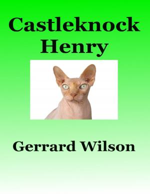 Cover of the book Castleknock Henry by Cheyenne Gross