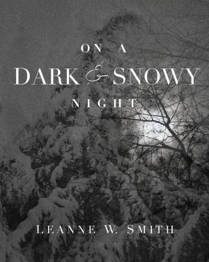 Cover of the book On A Dark & Snowy Night by JR Thompson