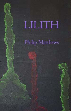 Cover of the book Lilith by D. Rebbitt