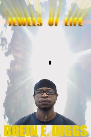 Cover of the book Jewels of Life by Henrice Kupper