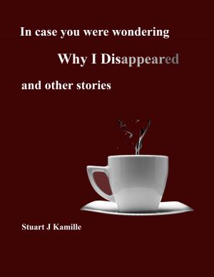 Book cover of In Case You Were Wondering Why I Disappeared and other stories