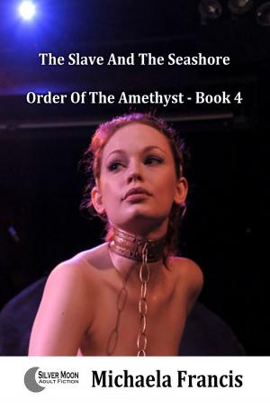 Cover of the book The Slave And The Seashore (Order Of The Amethyst Book 4) by DrkFetyshNyghts