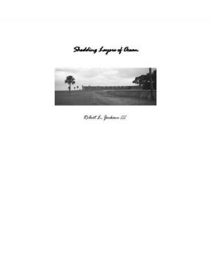 Cover of the book Shedding Layers of Ocean by Martins Odinga