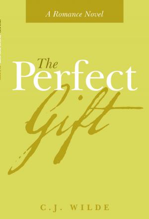 Cover of the book The Perfect Gift by Brian Andrew