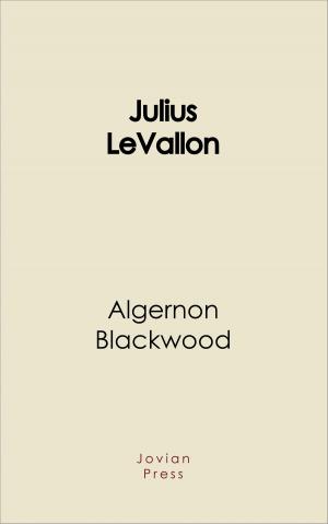 Cover of the book Julius Levallon by George Santayana