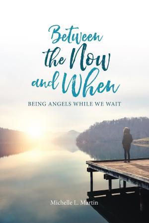 Cover of the book Between the Now and When by Karen Coomber