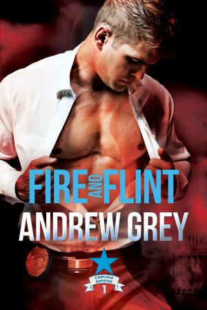Cover of the book Fire and Flint by Jess Anastasi