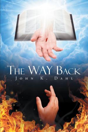 Cover of the book The WAY Back by Bob Shoultz
