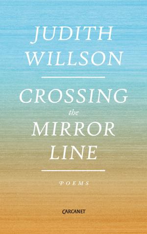 Cover of the book Crossing the Mirror Line by lowellgm