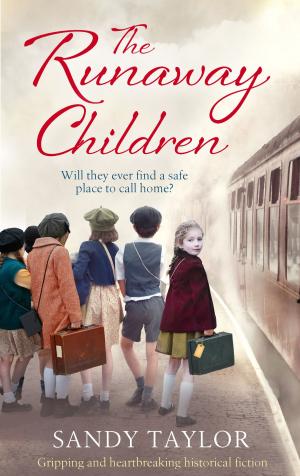Cover of the book The Runaway Children by Karen King