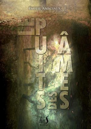 Book cover of Le Puits des Âmes