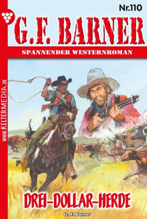 Cover of the book G.F. Barner 110 – Western by Michaela Dornberg