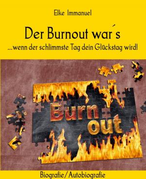 Cover of the book Der Burnout war´s by heidi jacobsen