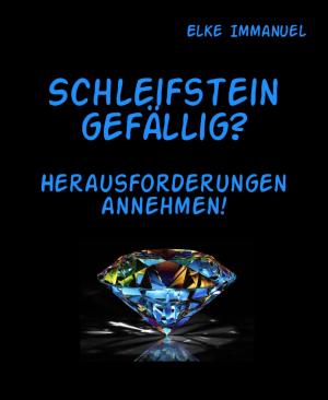 Cover of the book Schleifstein gefällig? by Cathy Siebenblatt