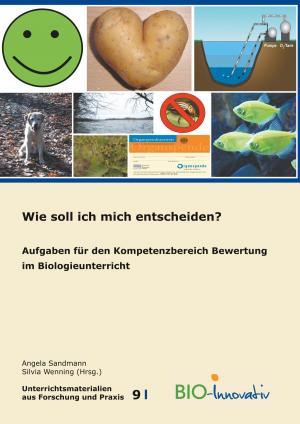 Cover of the book Wie soll ich mich entscheiden? by Martin Fromm, Sarah Paschelke