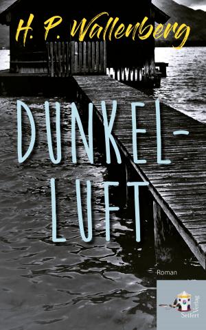 Cover of Dunkelluft