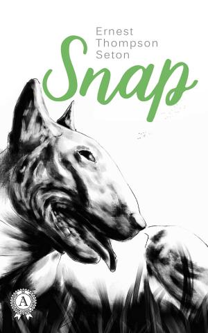Cover of the book Snap by Борис Акунин