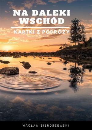 Cover of the book Na daleki wschód. Kartki z podróży by Beata Goździk