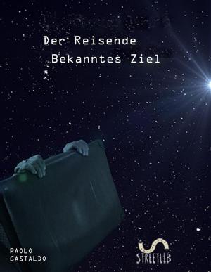 Book cover of Der Reisende