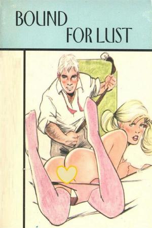 Book cover of Bound For Lust - Erotic Novel