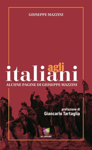 Book cover of Agli italiani