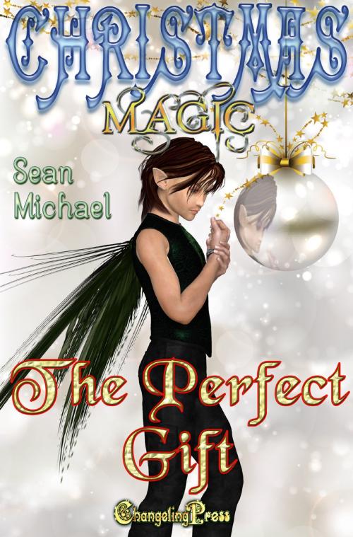 Cover of the book The Perfect Gift by Sean Michael, Changeling Press LLC