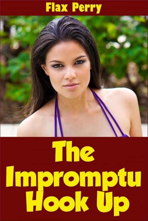 Cover of the book The Impromptu Hook Up by Flax Perry, Rajan Patel