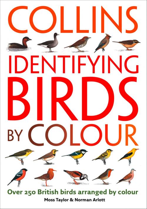 Cover of the book Identifying Birds by Colour by Norman Arlott, Moss Taylor, HarperCollins Publishers